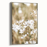 Farmhouse Wall Art - Soft White Daisies in Rustic Meadow Print