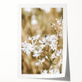 Farmhouse Wall Art - Soft White Daisies in Rustic Meadow Print