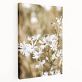 Farmhouse Wall Art - Soft White Daisies in Rustic Meadow Print