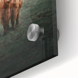 Farmhouse Wall Art - Highland Cow in Misty Field Country Style Decor
