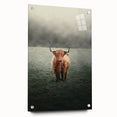 Farmhouse Wall Art - Highland Cow in Misty Field Country Style Decor