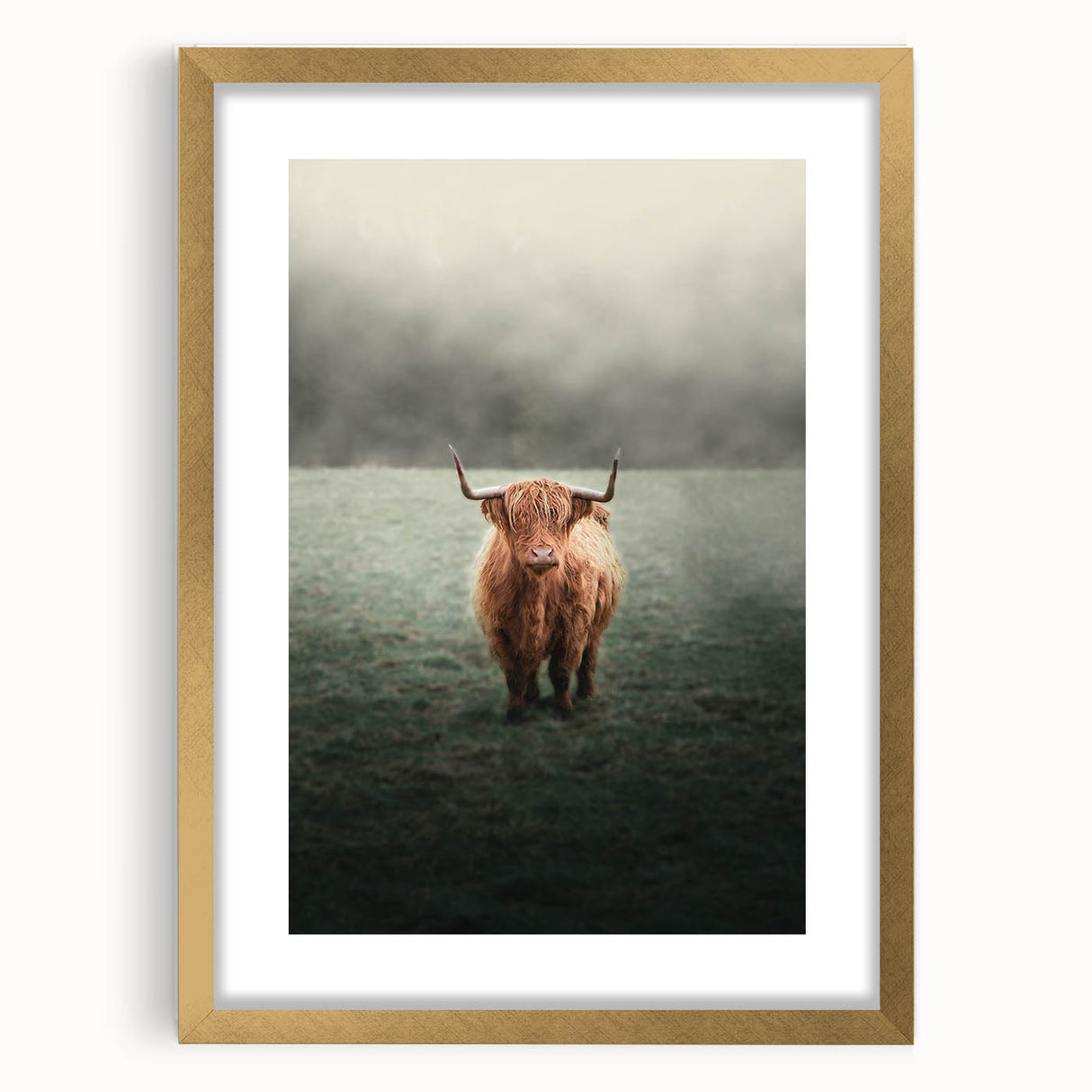 Farmhouse Wall Art - Highland Cow in Misty Field Country Style Decor