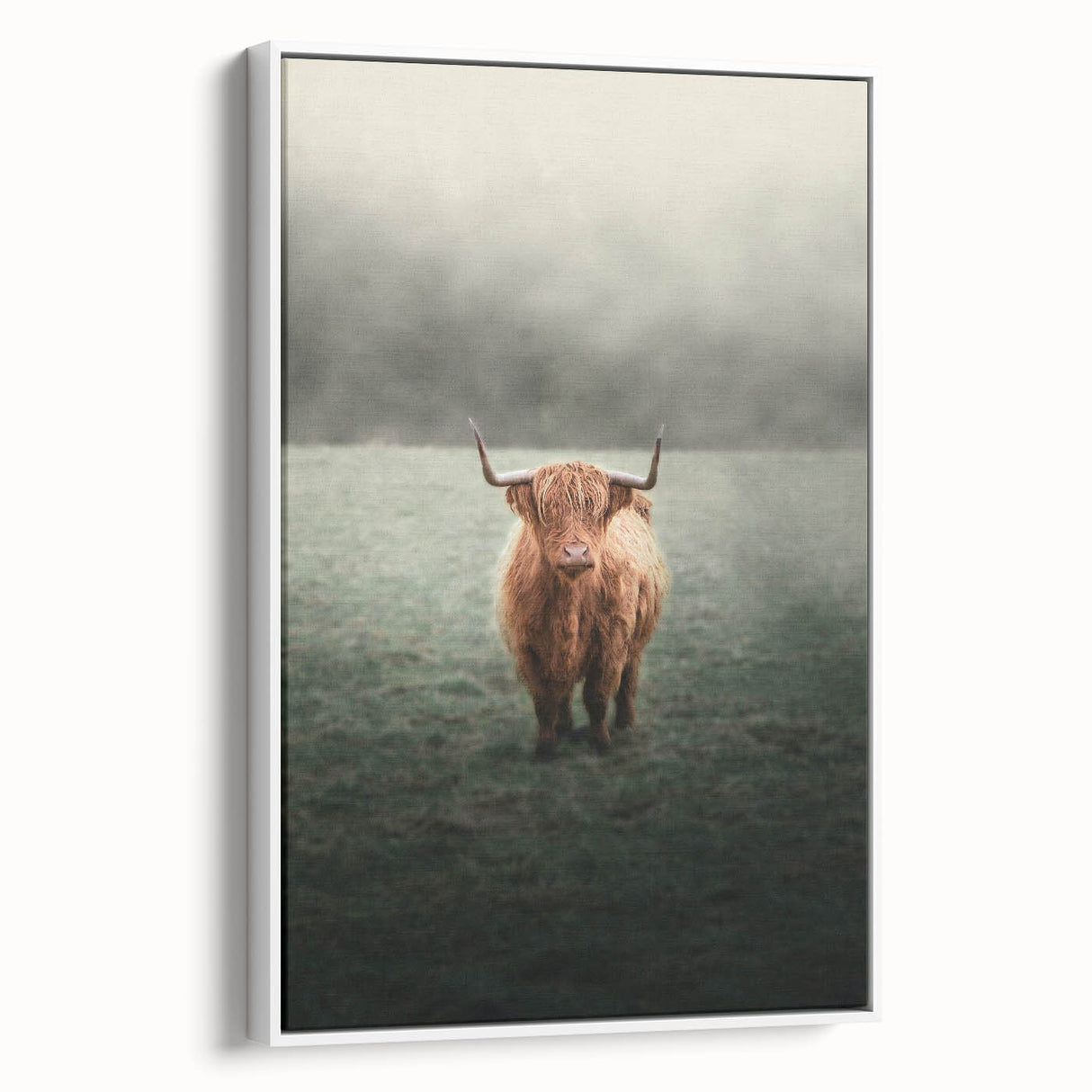 Farmhouse Wall Art - Highland Cow in Misty Field Country Style Decor