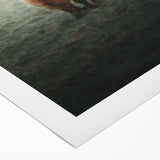 Farmhouse Wall Art - Highland Cow in Misty Field Country Style Decor