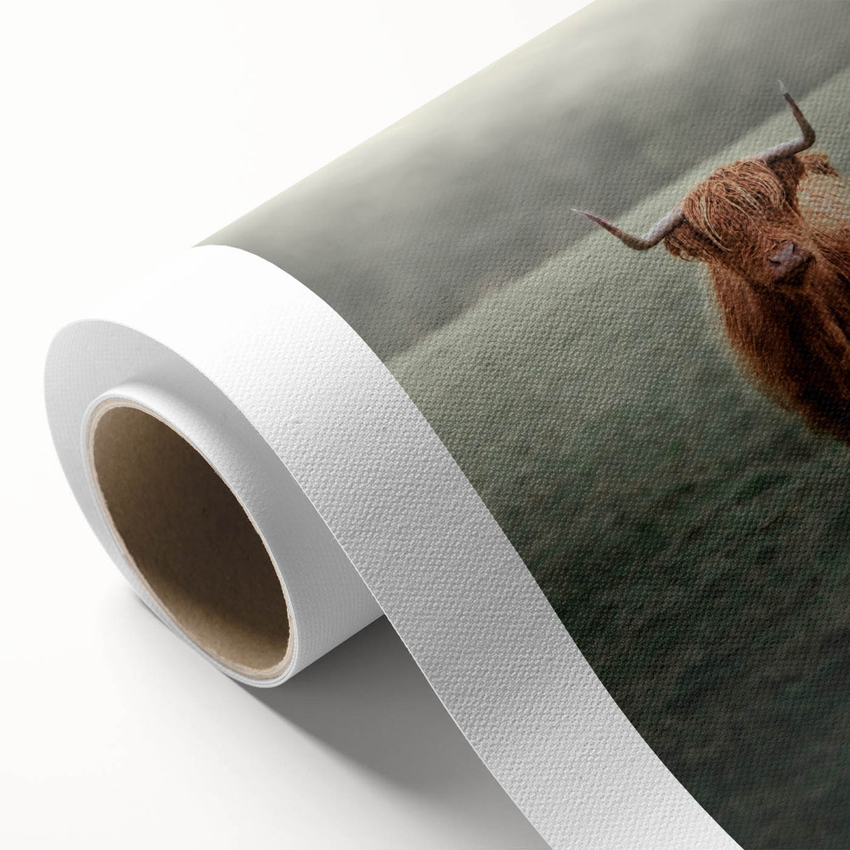 Farmhouse Wall Art - Highland Cow in Misty Field Country Style Decor