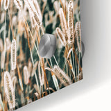 Farmhouse Wall Art - Rustic Wheat Field in Soft Focus Print