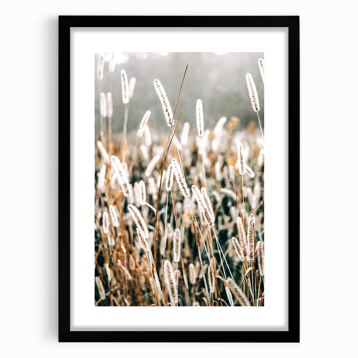 Farmhouse Wall Art - Rustic Wheat Field in Soft Focus Print