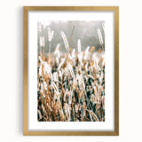 Farmhouse Wall Art - Rustic Wheat Field in Soft Focus Print
