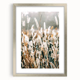Farmhouse Wall Art - Rustic Wheat Field in Soft Focus Print