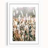 Farmhouse Wall Art - Rustic Wheat Field in Soft Focus Print