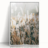 Farmhouse Wall Art - Rustic Wheat Field in Soft Focus Print