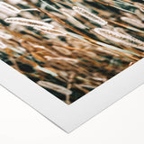 Farmhouse Wall Art - Rustic Wheat Field in Soft Focus Print