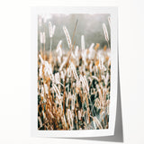 Farmhouse Wall Art - Rustic Wheat Field in Soft Focus Print