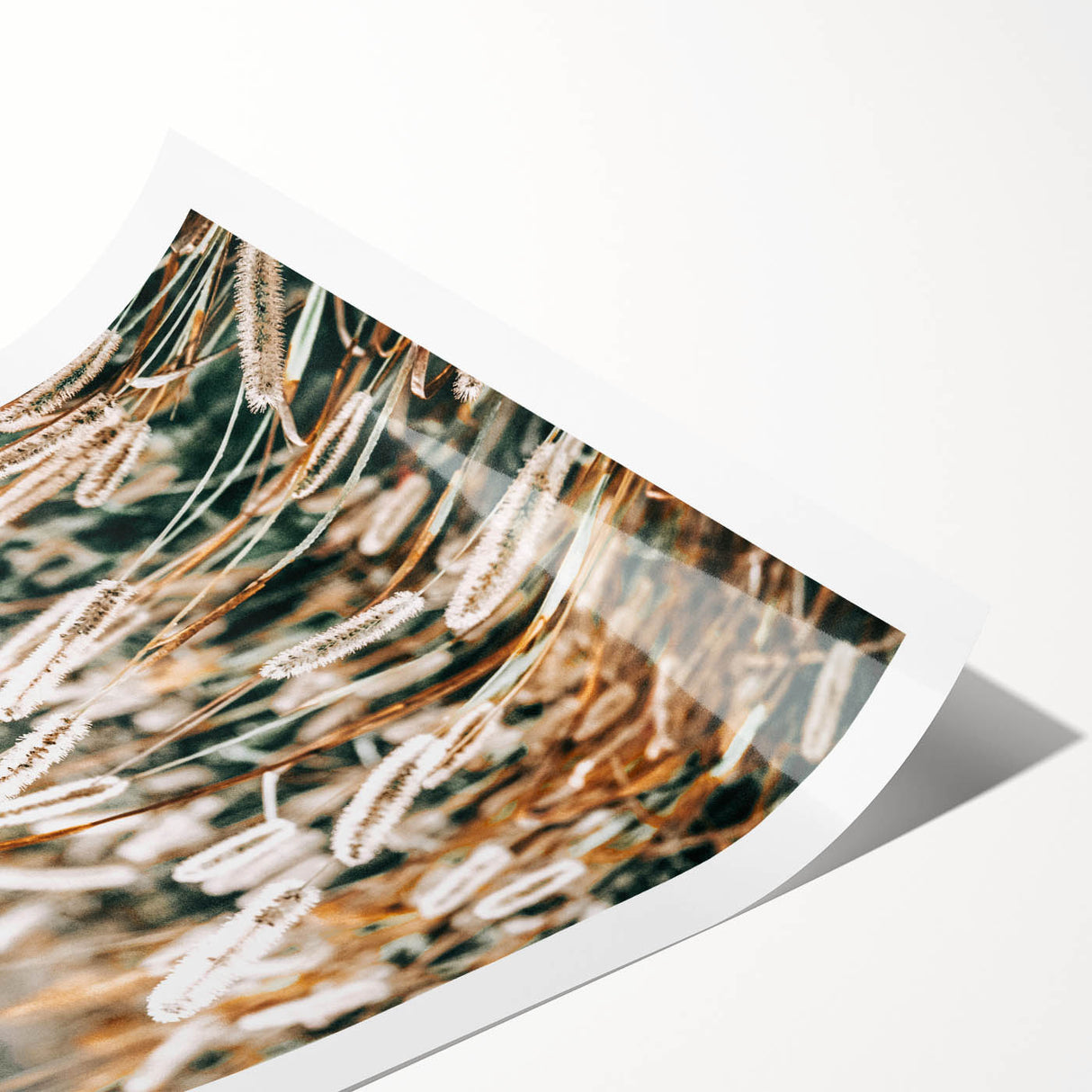 Farmhouse Wall Art - Rustic Wheat Field in Soft Focus Print