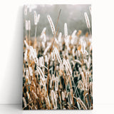 Farmhouse Wall Art - Rustic Wheat Field in Soft Focus Print