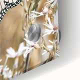 Farmhouse Wall Art - Butterfly on White Flowers in Rustic Meadow Print