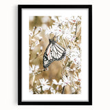 Farmhouse Wall Art - Butterfly on White Flowers in Rustic Meadow Print