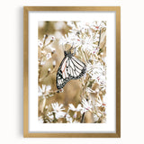 Farmhouse Wall Art - Butterfly on White Flowers in Rustic Meadow Print