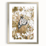 Farmhouse Wall Art - Butterfly on White Flowers in Rustic Meadow Print