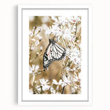 Farmhouse Wall Art - Butterfly on White Flowers in Rustic Meadow Print