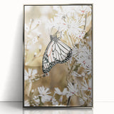 Farmhouse Wall Art - Butterfly on White Flowers in Rustic Meadow Print