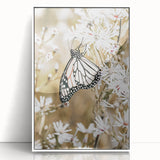 Farmhouse Wall Art - Butterfly on White Flowers in Rustic Meadow Print