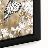 Farmhouse Wall Art - Butterfly on White Flowers in Rustic Meadow Print