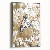 Farmhouse Wall Art - Butterfly on White Flowers in Rustic Meadow Print