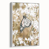 Farmhouse Wall Art - Butterfly on White Flowers in Rustic Meadow Print