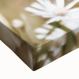 Farmhouse Wall Art - Butterfly on White Flowers in Rustic Meadow Print