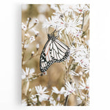 Farmhouse Wall Art - Butterfly on White Flowers in Rustic Meadow Print