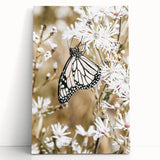 Farmhouse Wall Art - Butterfly on White Flowers in Rustic Meadow Print