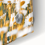 Farmhouse Wall Art - Bright Sunlit Daisies in Rustic Meadow Print