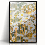 Farmhouse Wall Art - Bright Sunlit Daisies in Rustic Meadow Print