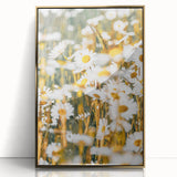 Farmhouse Wall Art - Bright Sunlit Daisies in Rustic Meadow Print