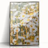 Farmhouse Wall Art - Bright Sunlit Daisies in Rustic Meadow Print