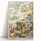Farmhouse Wall Art - Bright Sunlit Daisies in Rustic Meadow Print