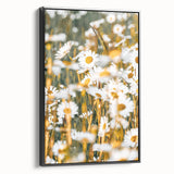 Farmhouse Wall Art - Bright Sunlit Daisies in Rustic Meadow Print