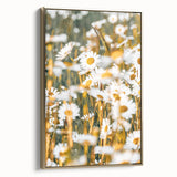 Farmhouse Wall Art - Bright Sunlit Daisies in Rustic Meadow Print