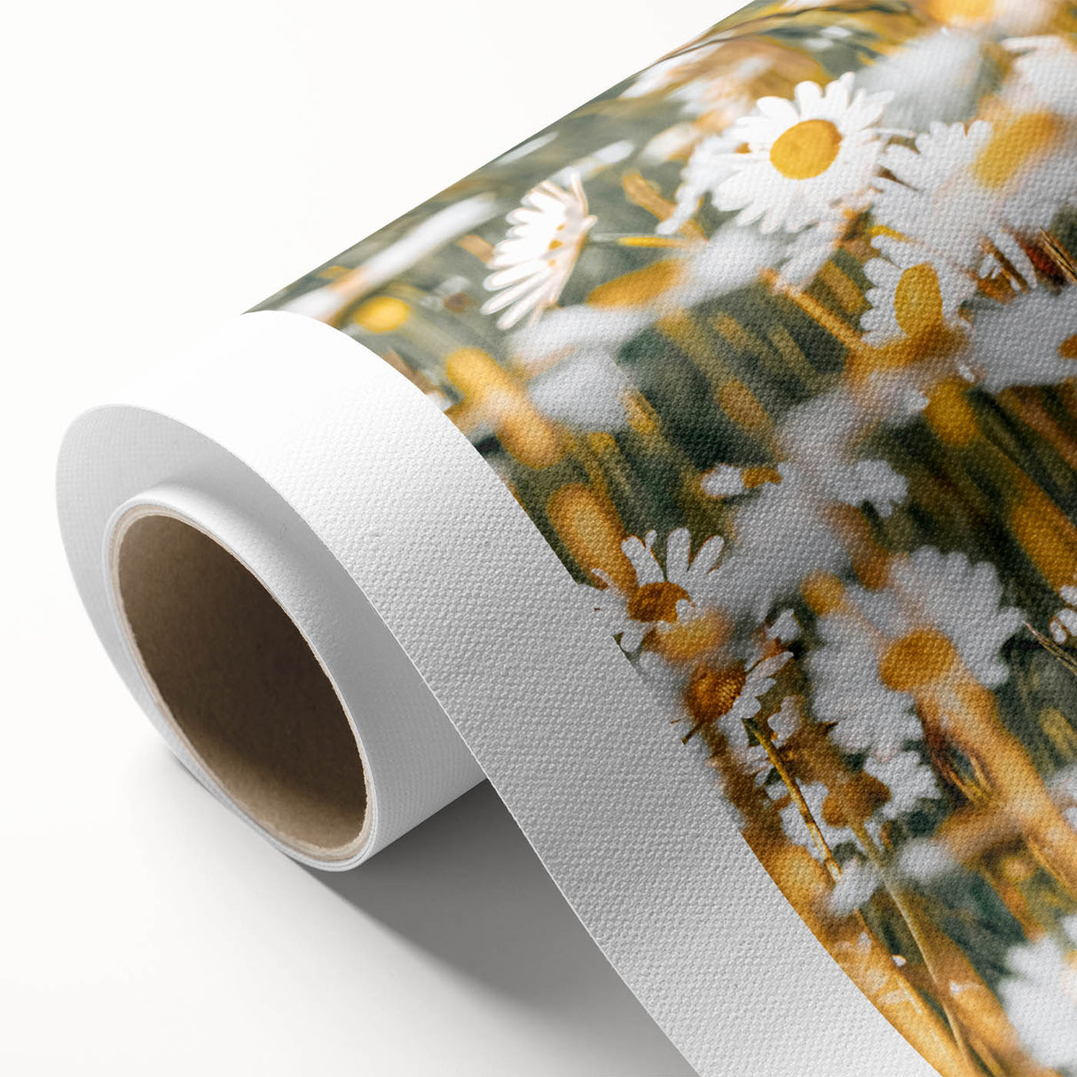 Farmhouse Wall Art - Bright Sunlit Daisies in Rustic Meadow Print