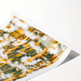 Farmhouse Wall Art - Bright Sunlit Daisies in Rustic Meadow Print