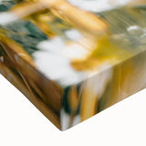 Farmhouse Wall Art - Bright Sunlit Daisies in Rustic Meadow Print