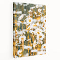 Farmhouse Wall Art - Bright Sunlit Daisies in Rustic Meadow Print