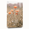 Farmhouse Wall Art - Delicate Poppies in Sunlit Meadow Print