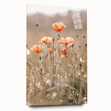 Farmhouse Wall Art - Delicate Poppies in Sunlit Meadow Print