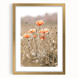Farmhouse Wall Art - Delicate Poppies in Sunlit Meadow Print