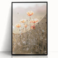 Farmhouse Wall Art - Delicate Poppies in Sunlit Meadow Print