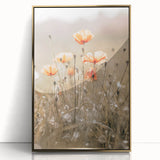 Farmhouse Wall Art - Delicate Poppies in Sunlit Meadow Print