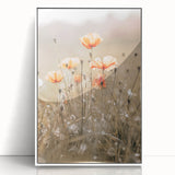 Farmhouse Wall Art - Delicate Poppies in Sunlit Meadow Print