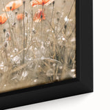 Farmhouse Wall Art - Delicate Poppies in Sunlit Meadow Print